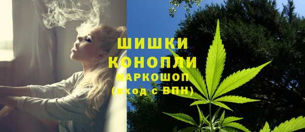 винт Баксан