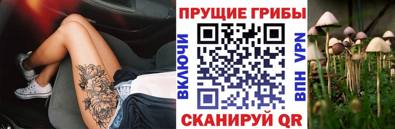 Псилоцибиновые грибы Cubensis  где найти наркотики  сайты даркнета состав  Лукоянов 